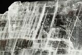 Glassy Selenite Utah Ice Sheet- Hanksville, Utah #373017-1